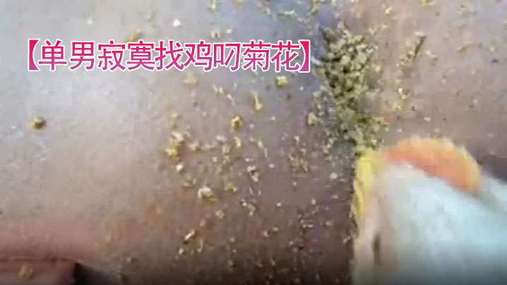 单男寂寞找鸡叼菊花菊花看起来好紧逼.