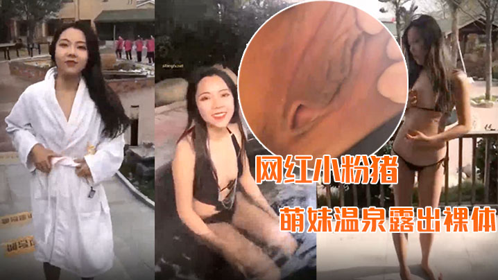 精品推荐网红小粉猪西萌工作室流出萌妹温泉露出裸体.问路车内自慰