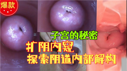 JUL-233 极品人妻医疗调教 扩阴器深探骚穴内窥镜爆操